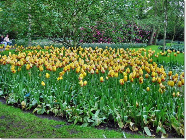 Holland (143)1.jpg